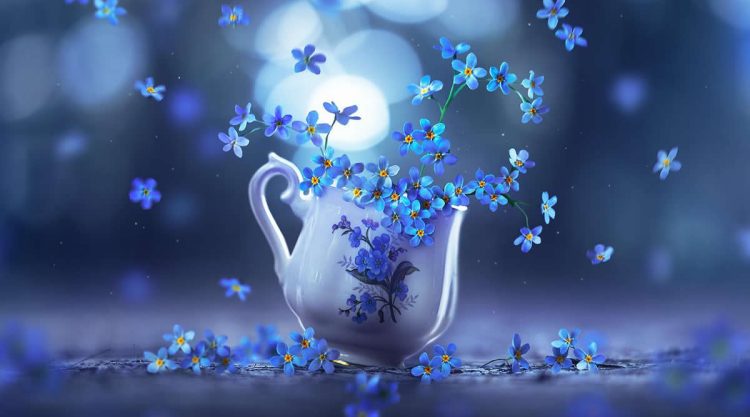 Still Life Photography by Ashraful Arefin