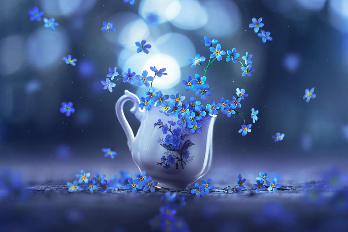 Still Life Photography by Ashraful Arefin
