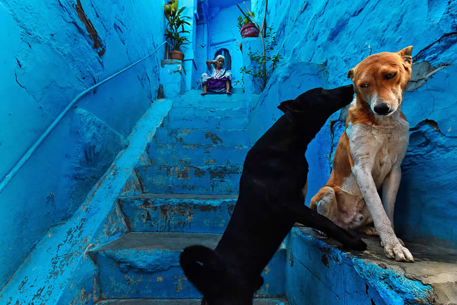 Indian Street and Documentary Photography by Sammya Brata