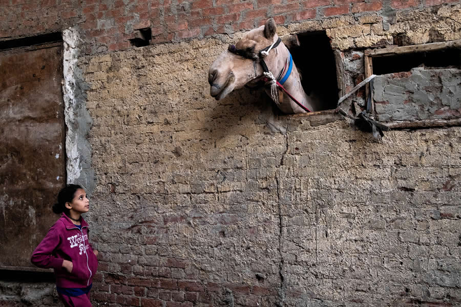 Street Photography by Maude Bardet
