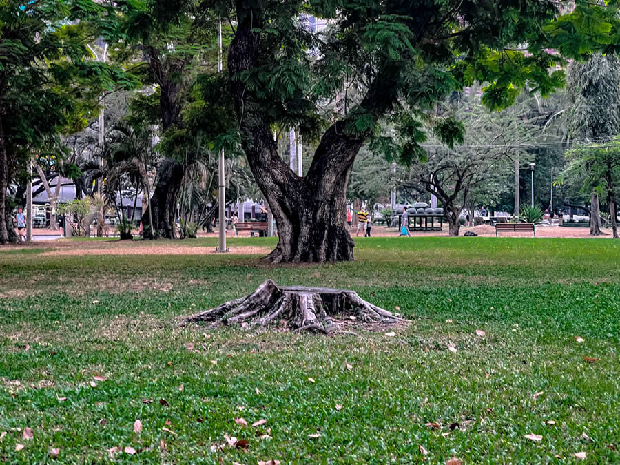 Thailand Street Photography by Phatsakorn Bundasak