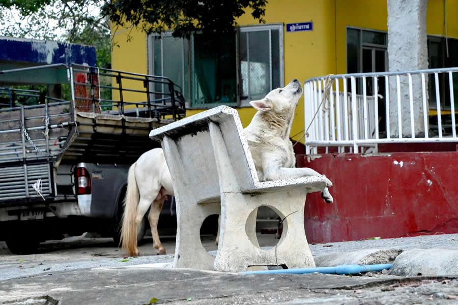 Thailand Street Photography by Phatsakorn Bundasak