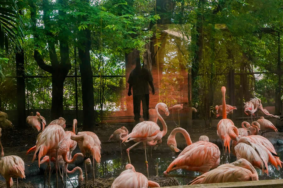 Thailand Street Photography by Phatsakorn Bundasak