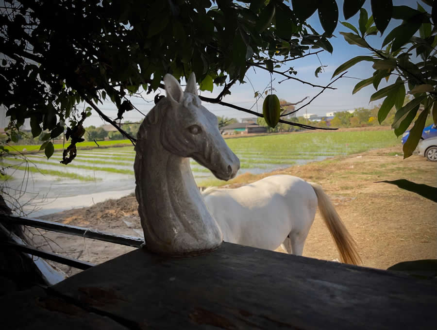 Thailand Street Photography by Phatsakorn Bundasak