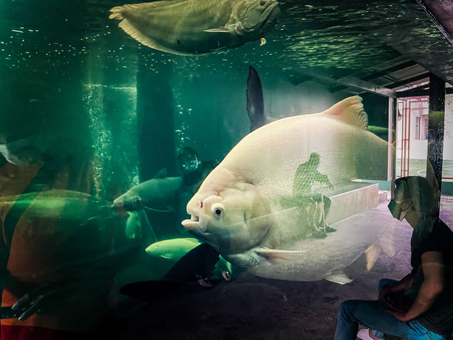 Thailand Street Photography by Phatsakorn Bundasak