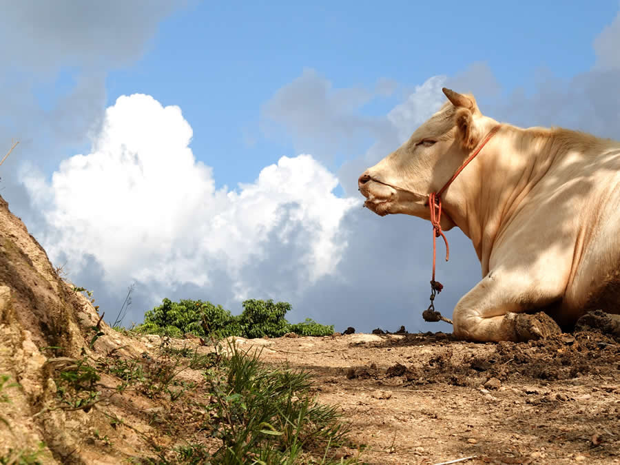 Thailand Street Photography by Phatsakorn Bundasak