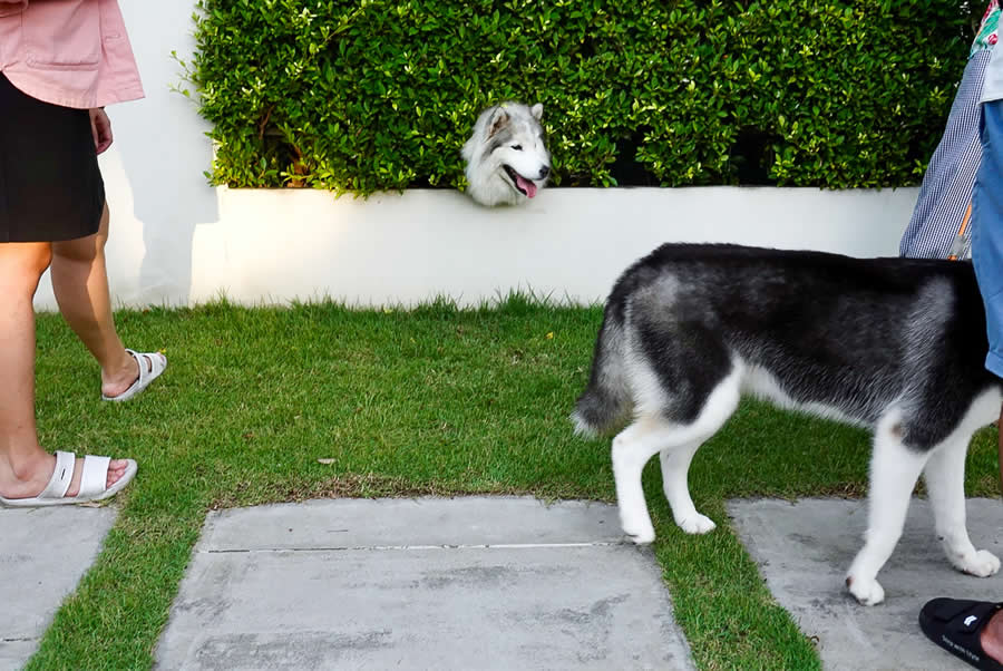 Thailand Street Photography by Phatsakorn Bundasak