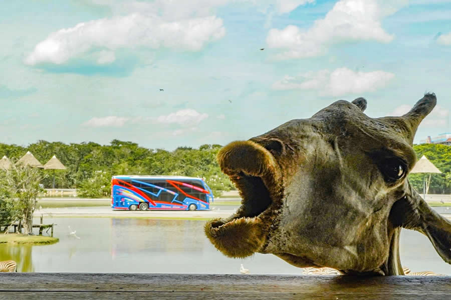 Thailand Street Photography by Phatsakorn Bundasak