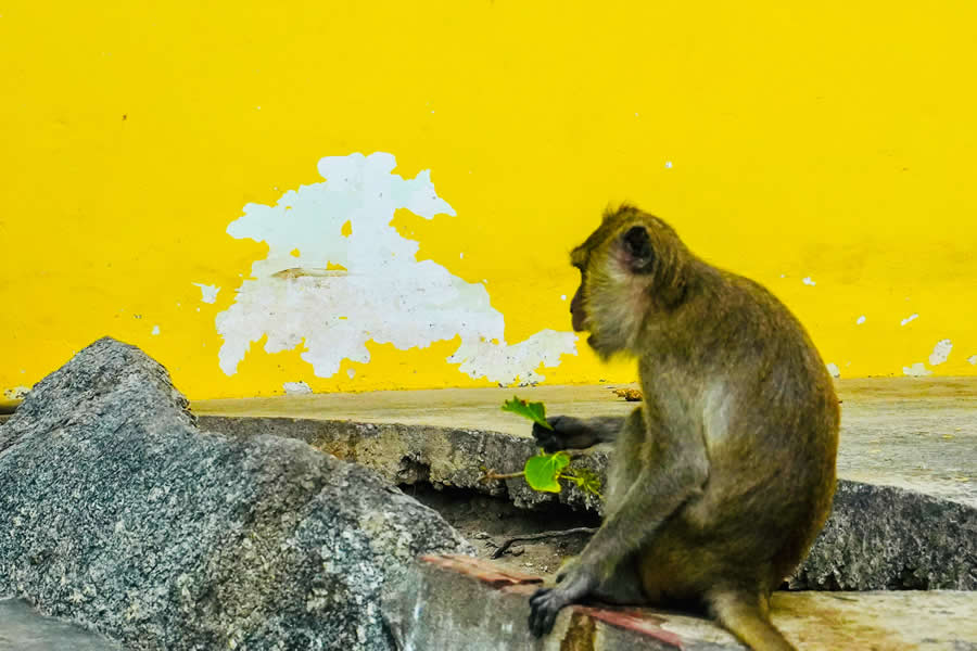 Thailand Street Photography by Phatsakorn Bundasak