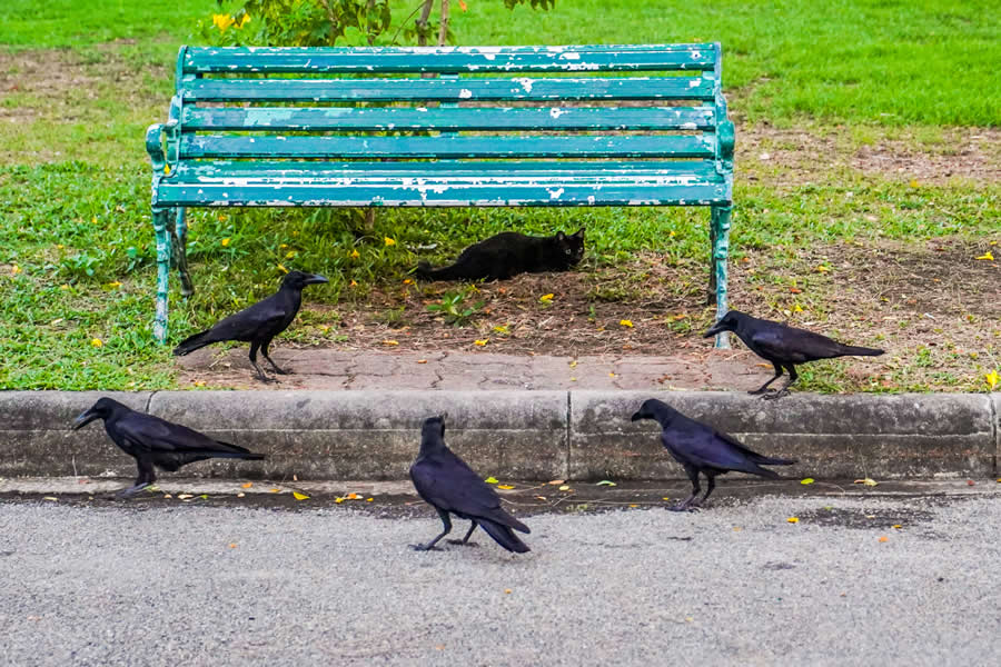 Thailand Street Photography by Phatsakorn Bundasak