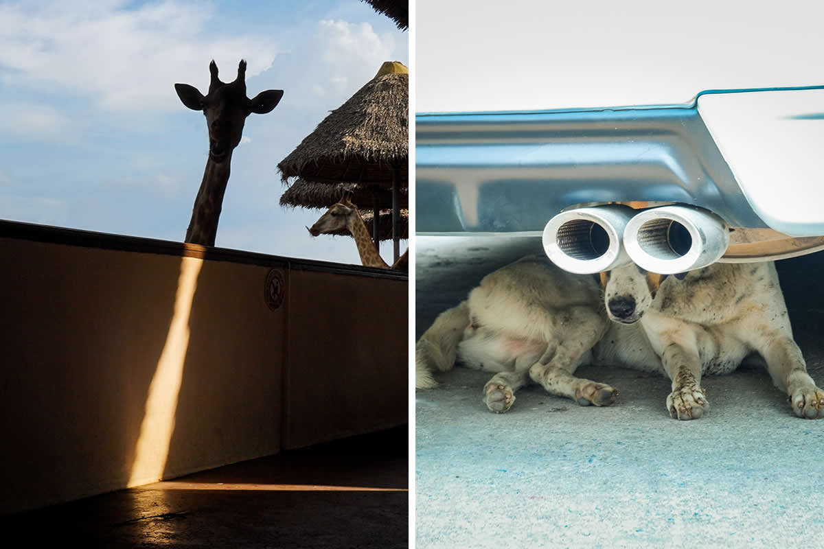 30 Striking Street Photographs by Phatsakorn Bundasak That Blur the Line Between Real and Surreal