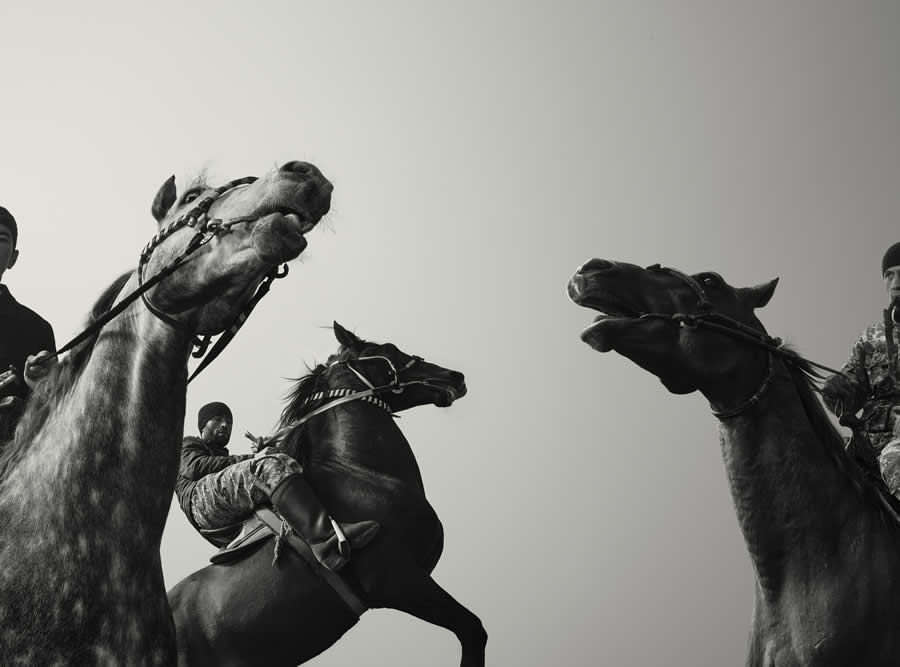 International Photography Awards 2025 Winners