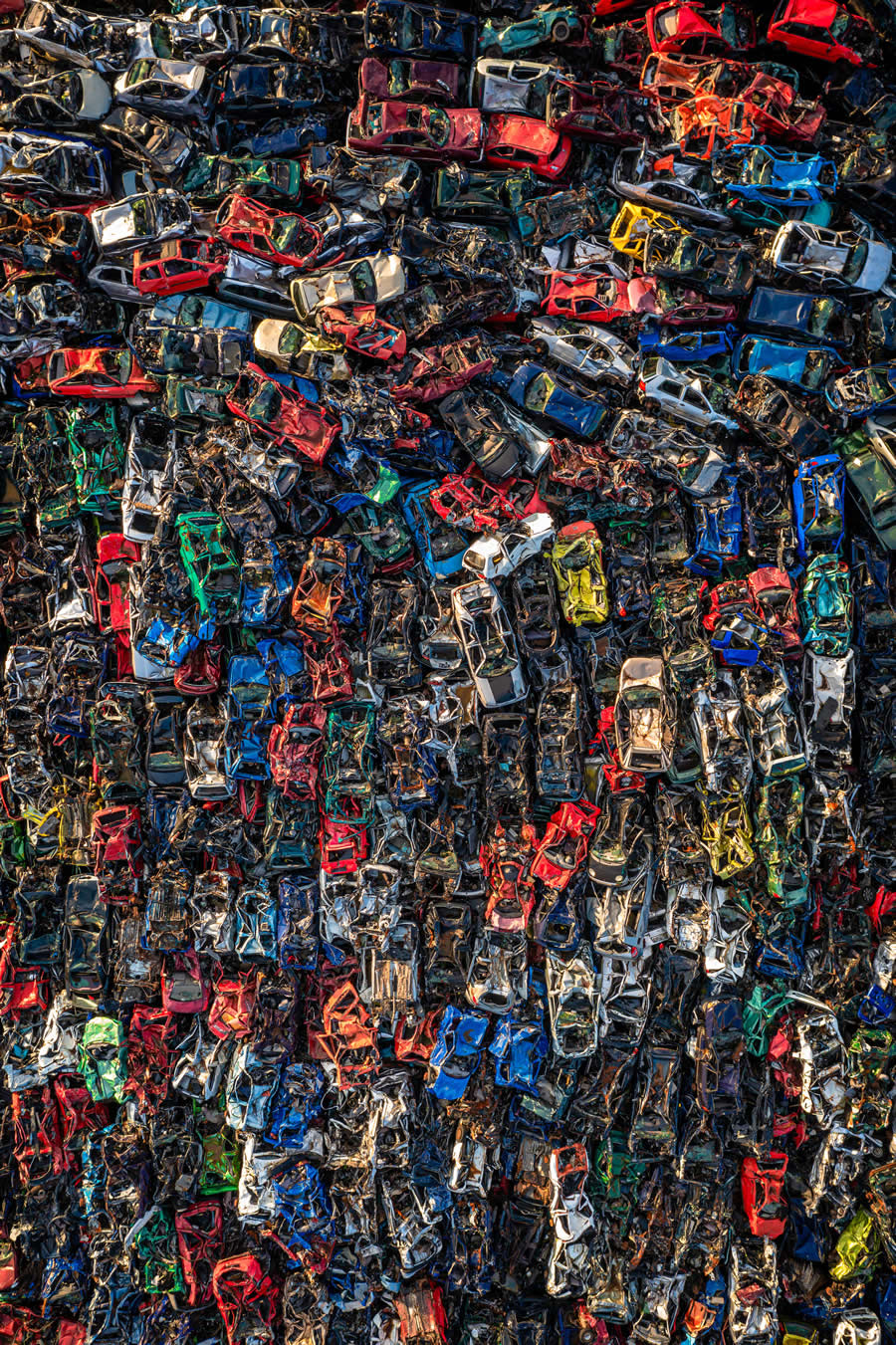 International Photography Awards 2025 Winners