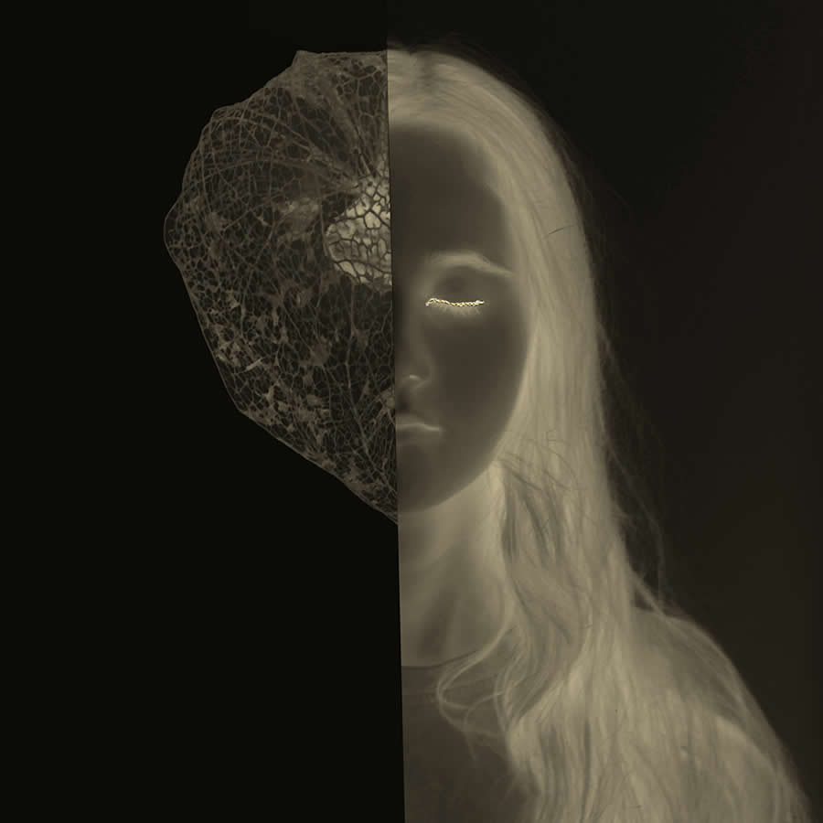 International Photography Awards 2025 Winners