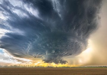 International Photography Awards 2025 Winners