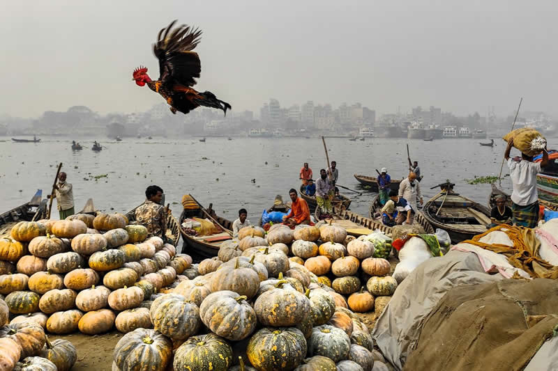 Finalist Photos from the 2025 Urban Photography Awards
