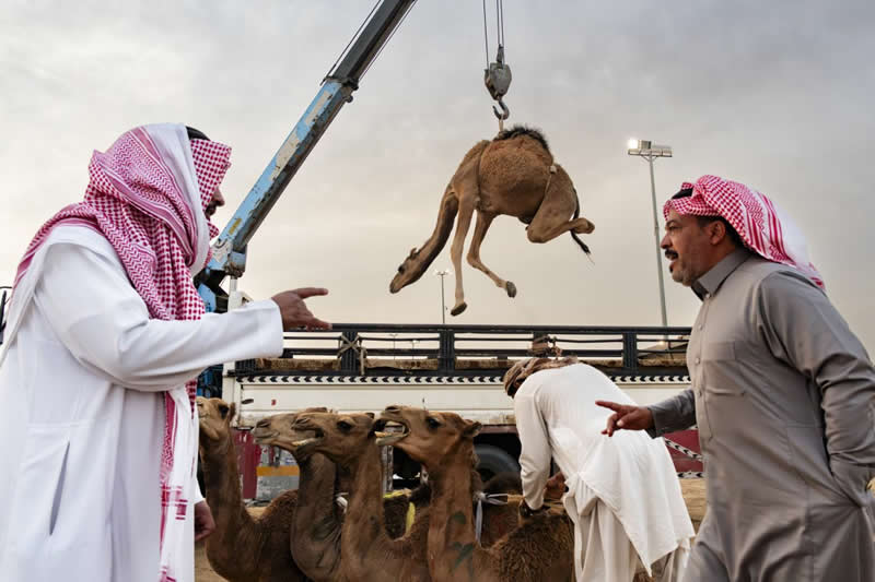 Finalist Photos from the 2025 Urban Photography Awards