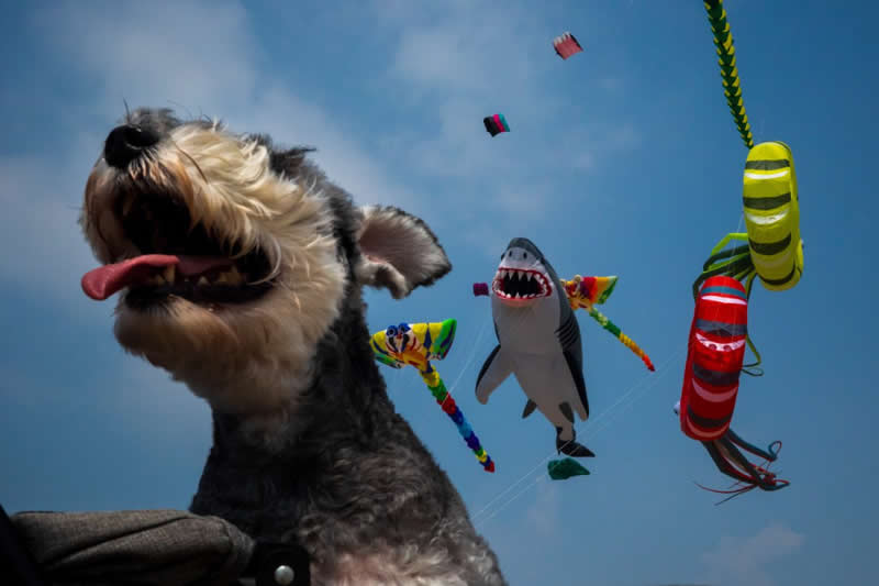 Finalist Photos from the 2025 Urban Photography Awards