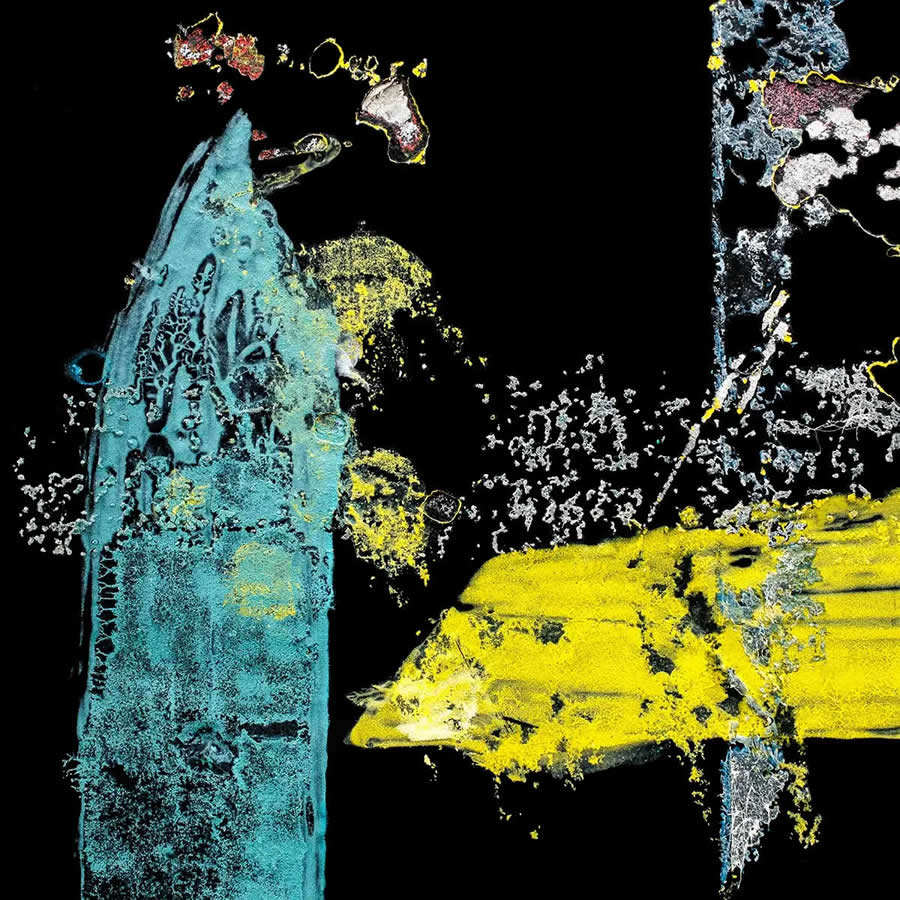 Shape Category Winners from the 2025 AAP Magazine Awards
