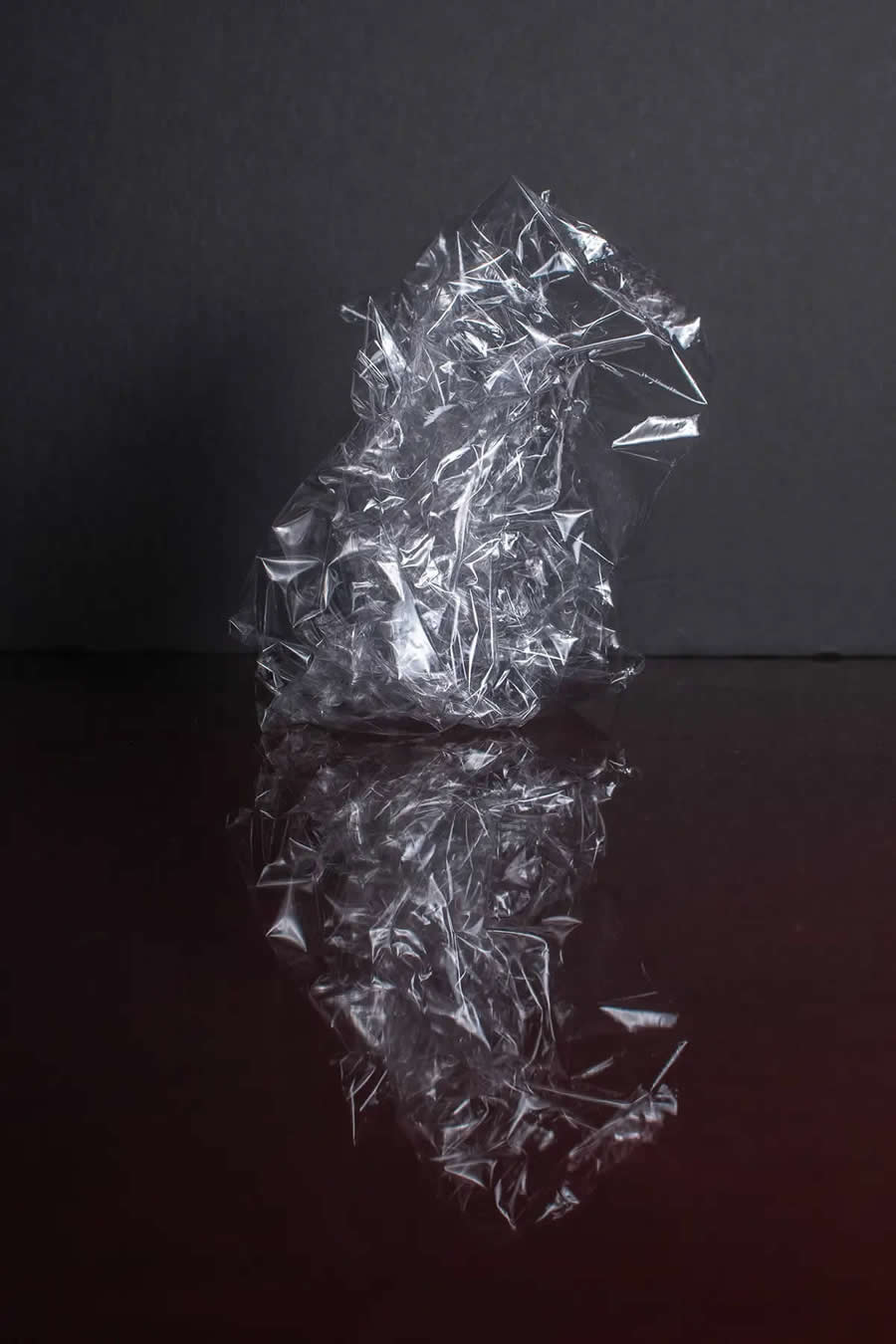 Shape Category Winners from the 2025 AAP Magazine Awards