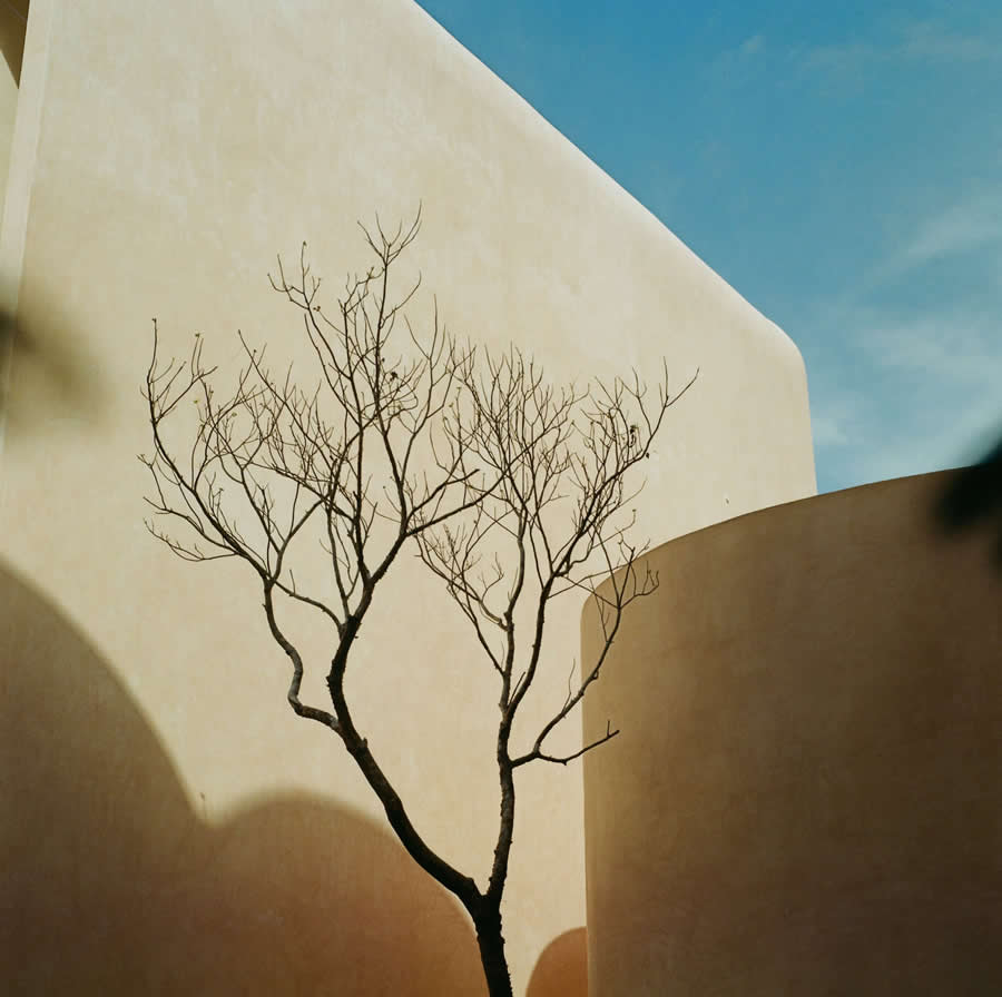 Babel by Rose Shoshana, Mexico - 2025 Analog Sparks Awards Winners