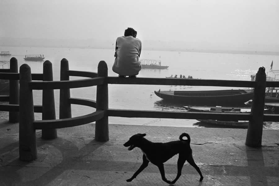 Indian River by Simone Morelli, Italy - 2025 Analog Sparks Awards Winners