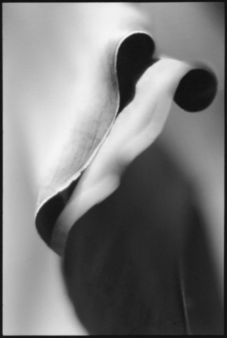 Lyrics by Oran Greier, Germany - 2025 Analog Sparks Awards Winners
