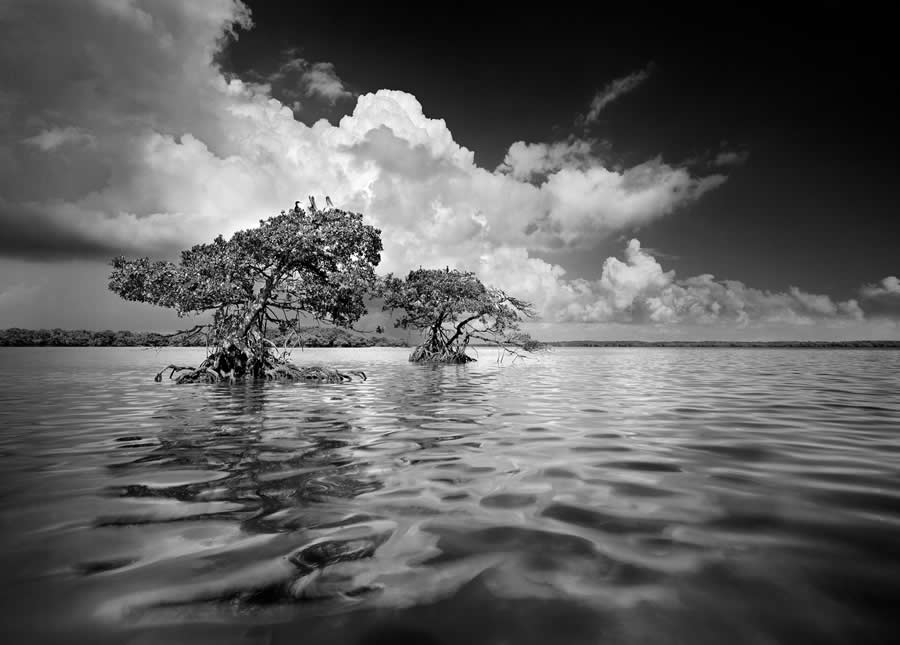 Gaskin Bay by Clyde Butcher, United States - 2025 Analog Sparks Awards Winners