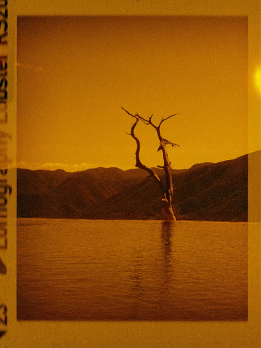 Echoes of Eternity by Joss Sánchez, Mexico - 2025 Analog Sparks Awards Winners