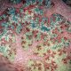 Australian Geographic Nature Photographer of the Year 2025 Winners