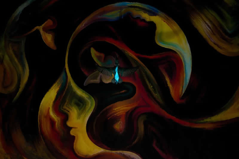 Photo Art by Philipp Egger - 2025 Bird Photographer of the Year Contest Winners