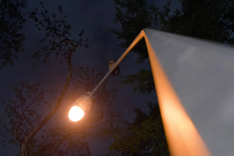 Under Your Nose by Jim Lee - 2025 Bird Photographer of the Year Contest Winners