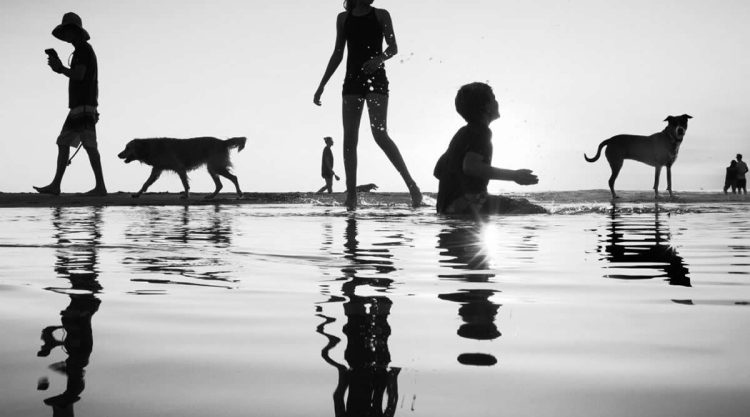 Striking Black-and-White Street Photography