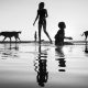 Striking Black-and-White Street Photography