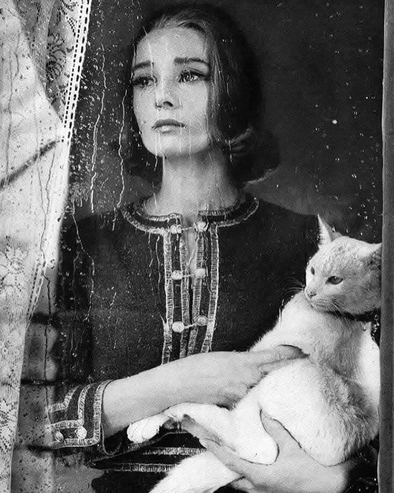 Analog Photographs That Capture the Timeless Beauty