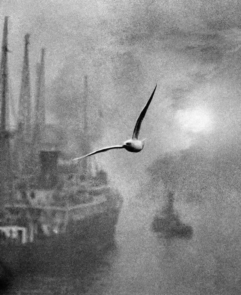 Analog Photographs That Capture the Timeless Beauty