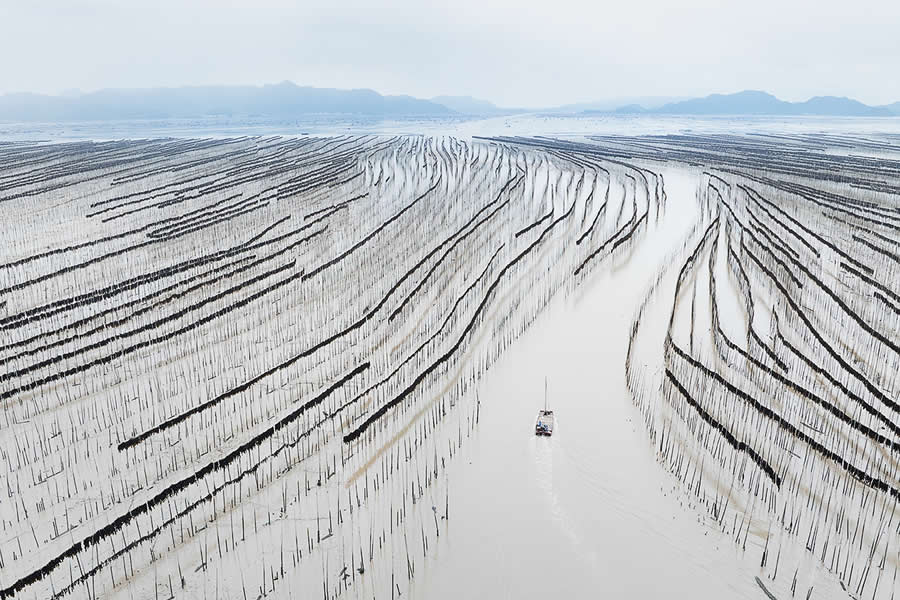 The seaweed road of Fujian by Sarah Wouters - Drone Photo Awards 2025 Winners