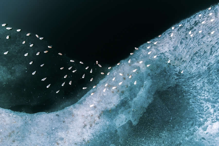 Edge of Stillness by Helga Urbán - Drone Photo Awards 2025 Winners