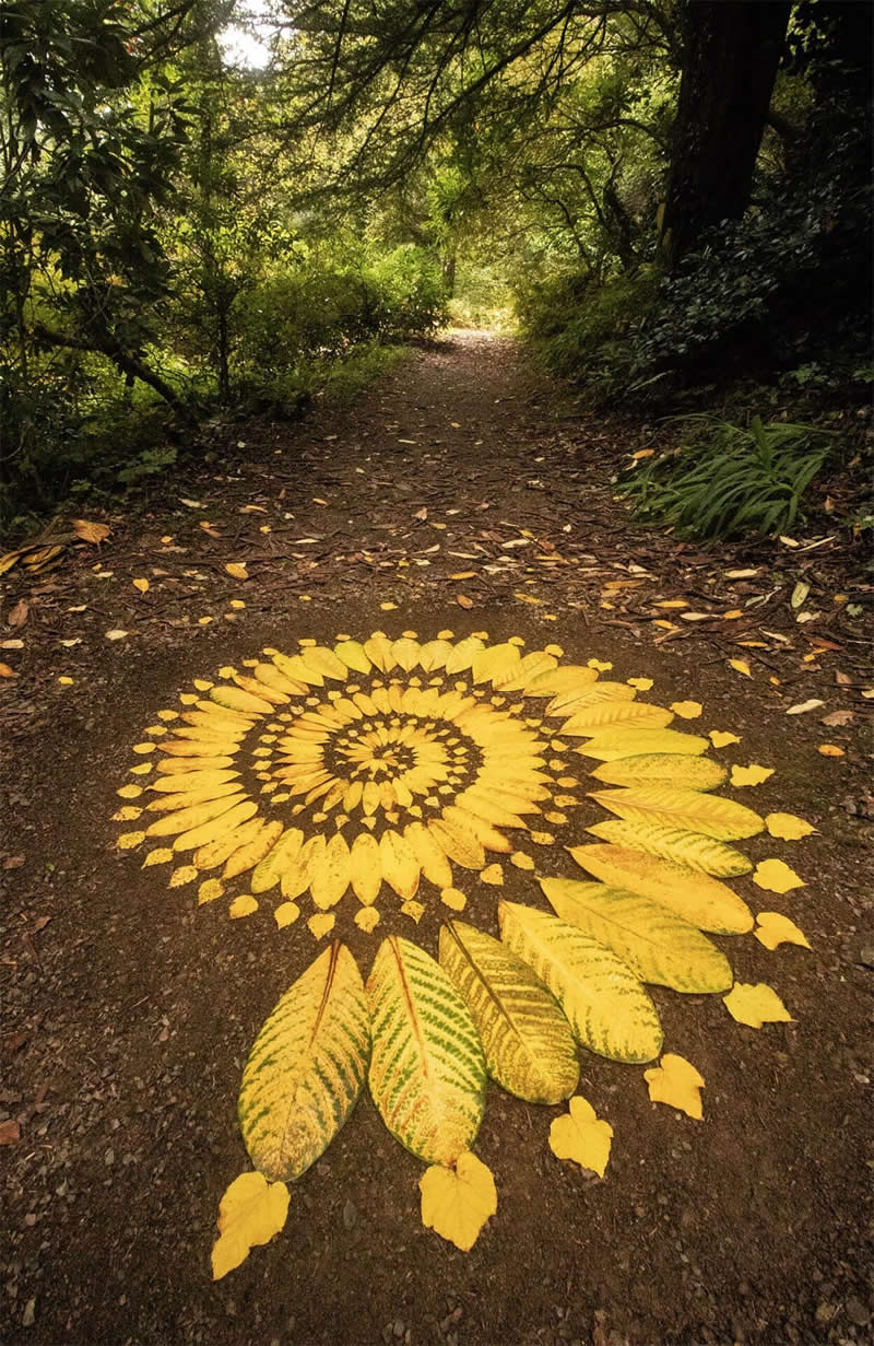 Ephemeral Land Art Masterpieces by Jon Foreman