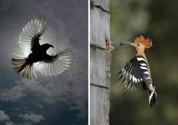 Exact Right Moment to Prove Timing Is Everything