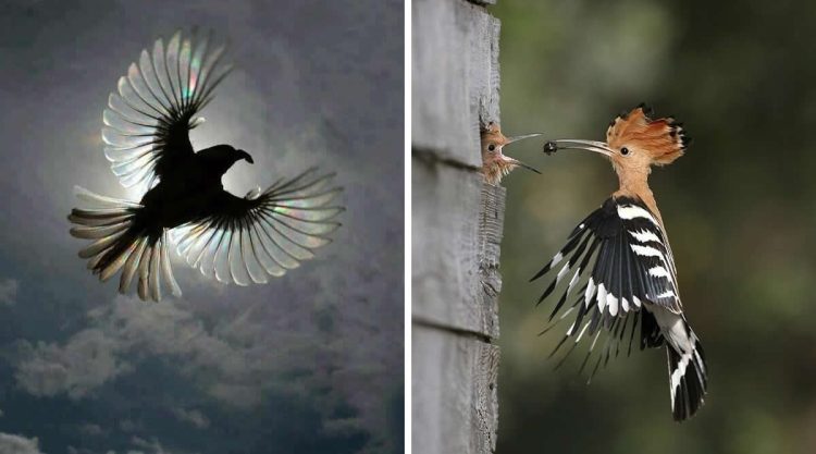 Exact Right Moment to Prove Timing Is Everything