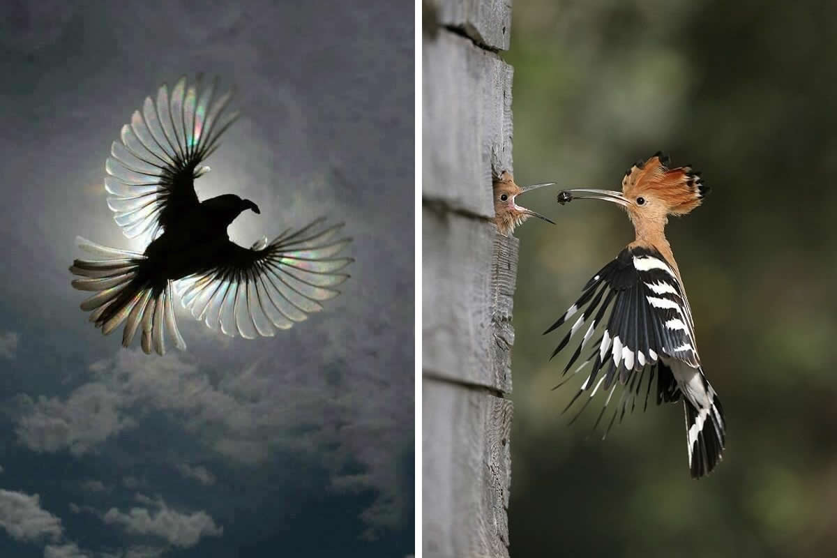 Exact Right Moment to Prove Timing Is Everything