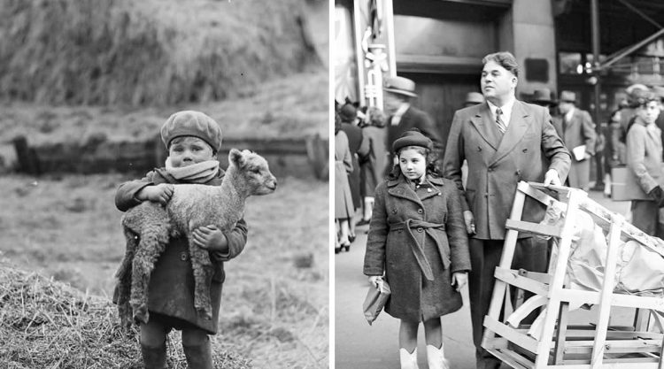 Fascinating Historical Photos That Reveal Daily Life