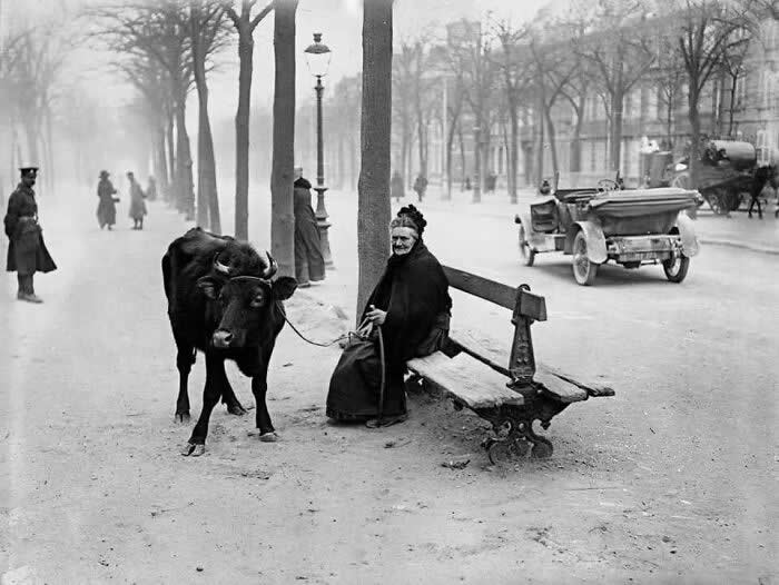 Fascinating Photos From History