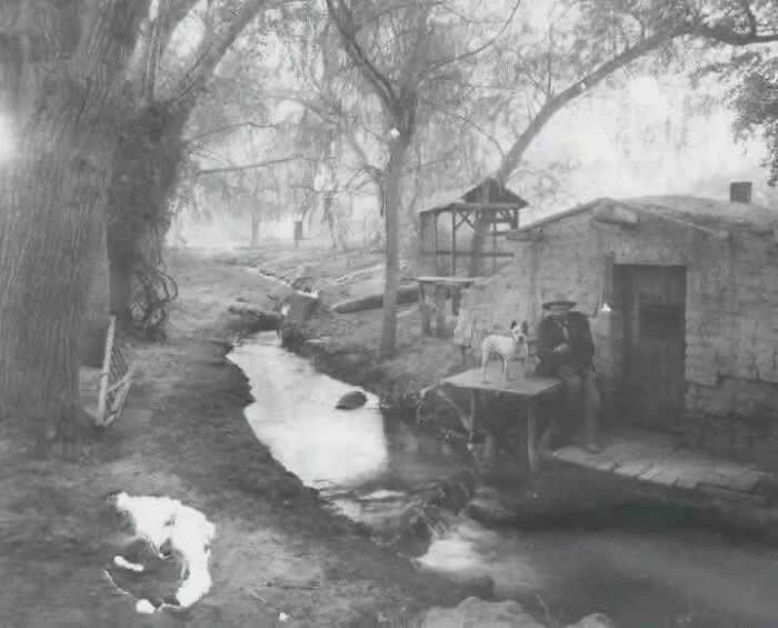 Fascinating Photos From History