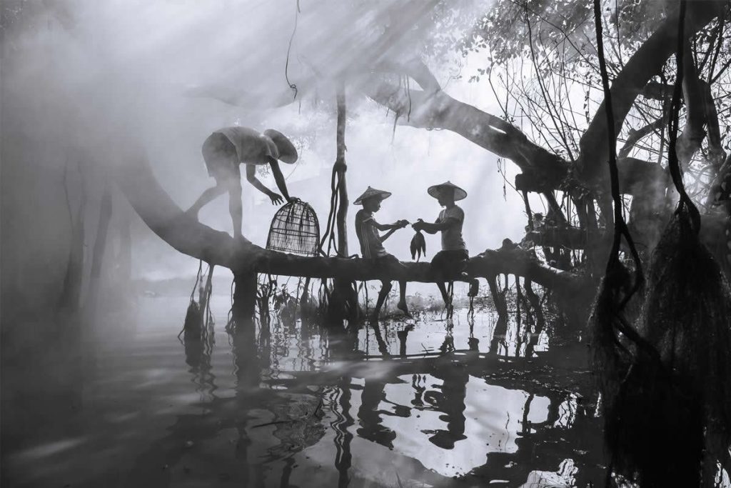 Fine Art Photography Awards 2025 Winners