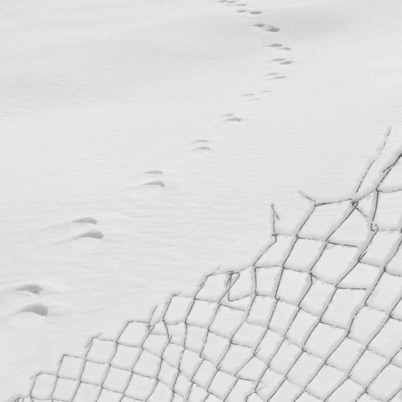 Minimalist Black-and-White Photography by Mostafa Nodeh