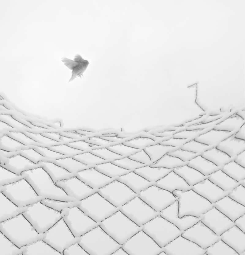 Minimalist Black-and-White Photography by Mostafa Nodeh