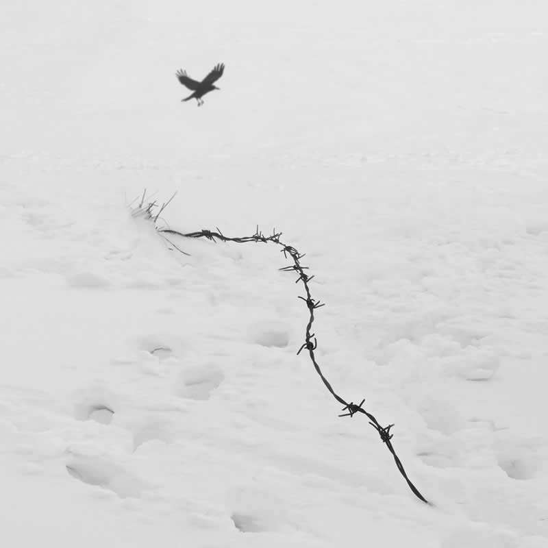 Minimalist Black-and-White Photography by Mostafa Nodeh