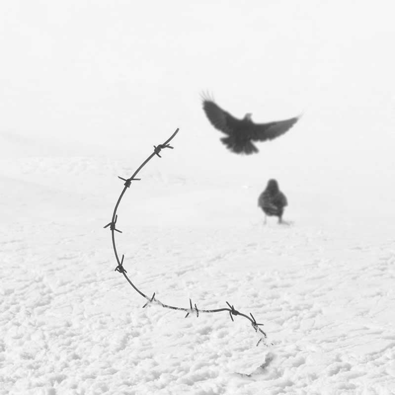 Minimalist Black-and-White Photography by Mostafa Nodeh